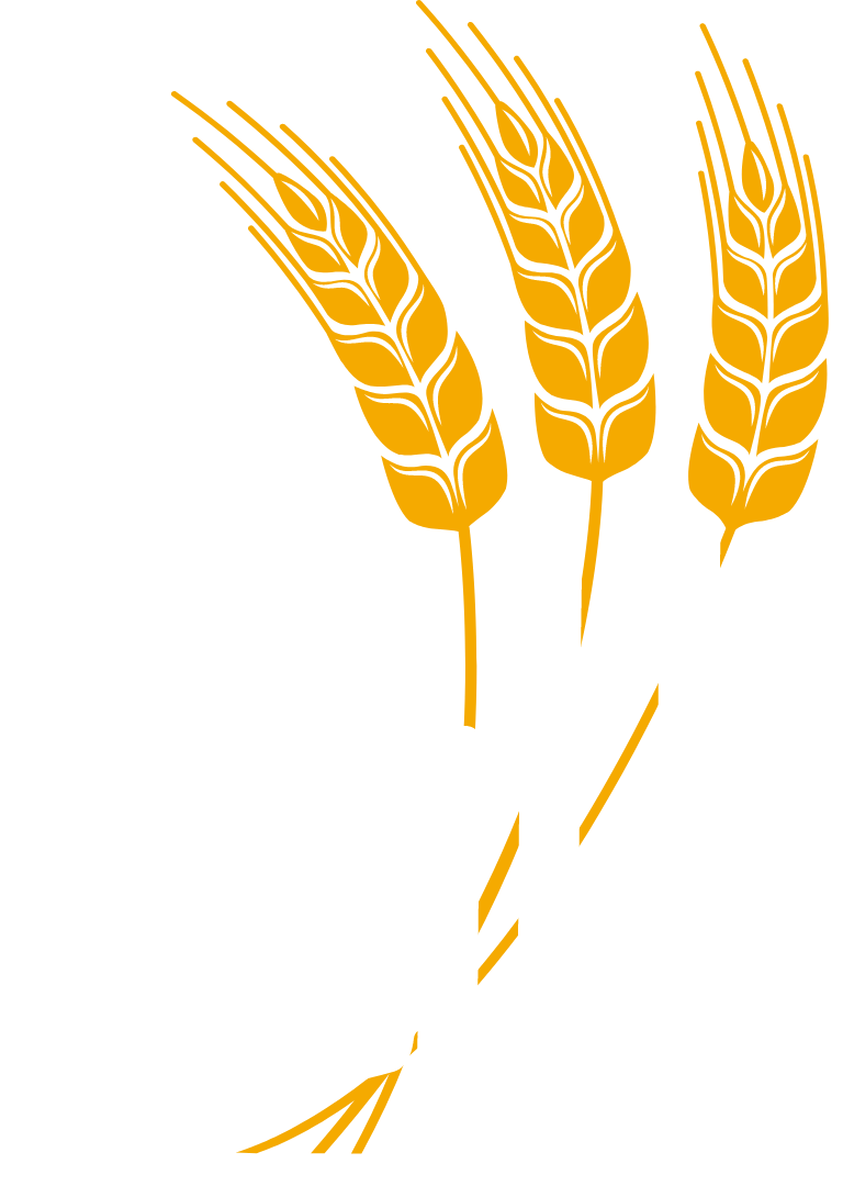 Guth 90 Anos